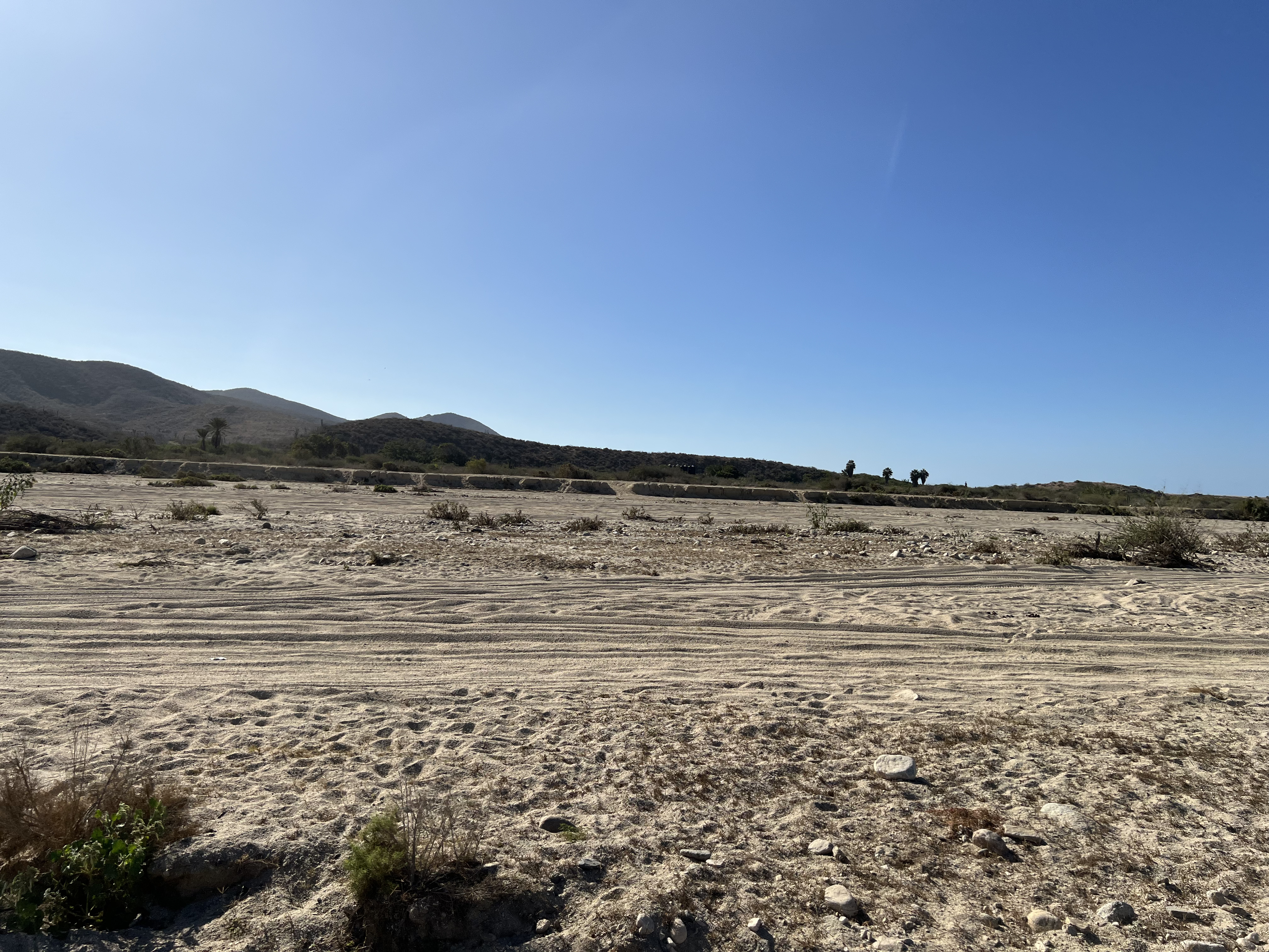 ./2024/13 - Cabo/IMG_4496.jpg